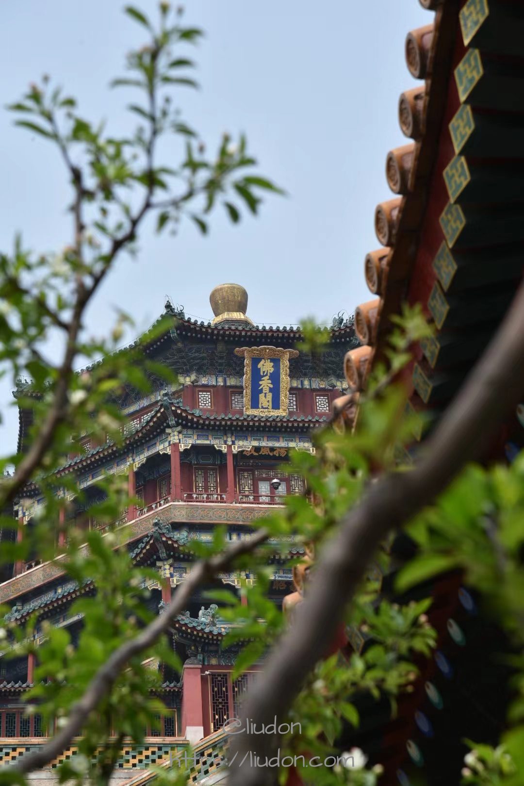 佛香阁