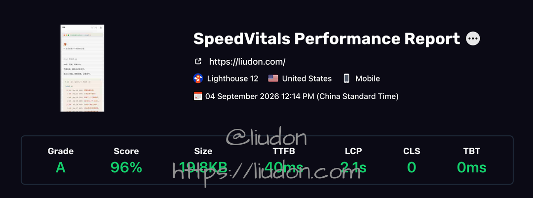 SpeedVitals Performance Report