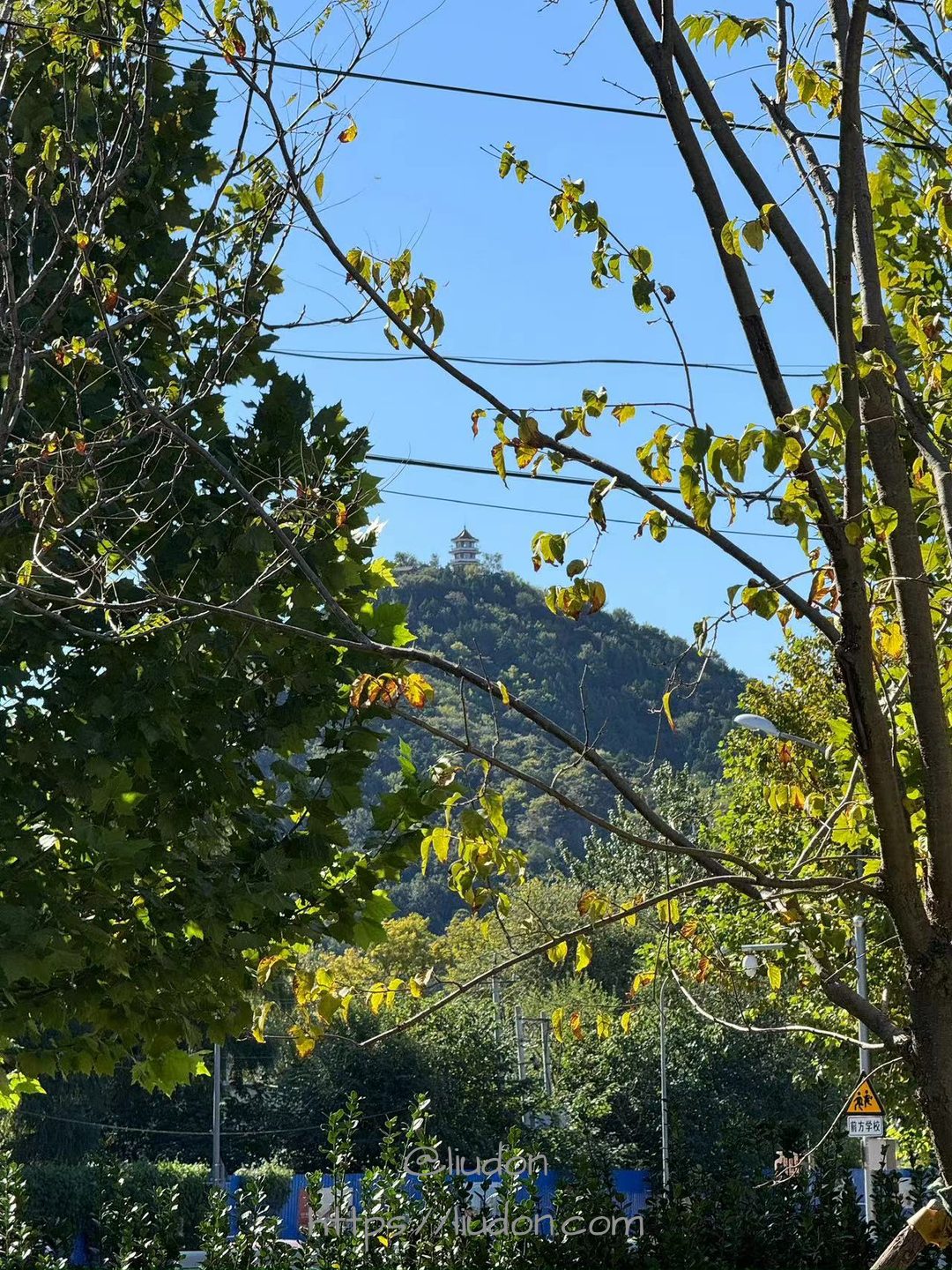 秋天的百望山